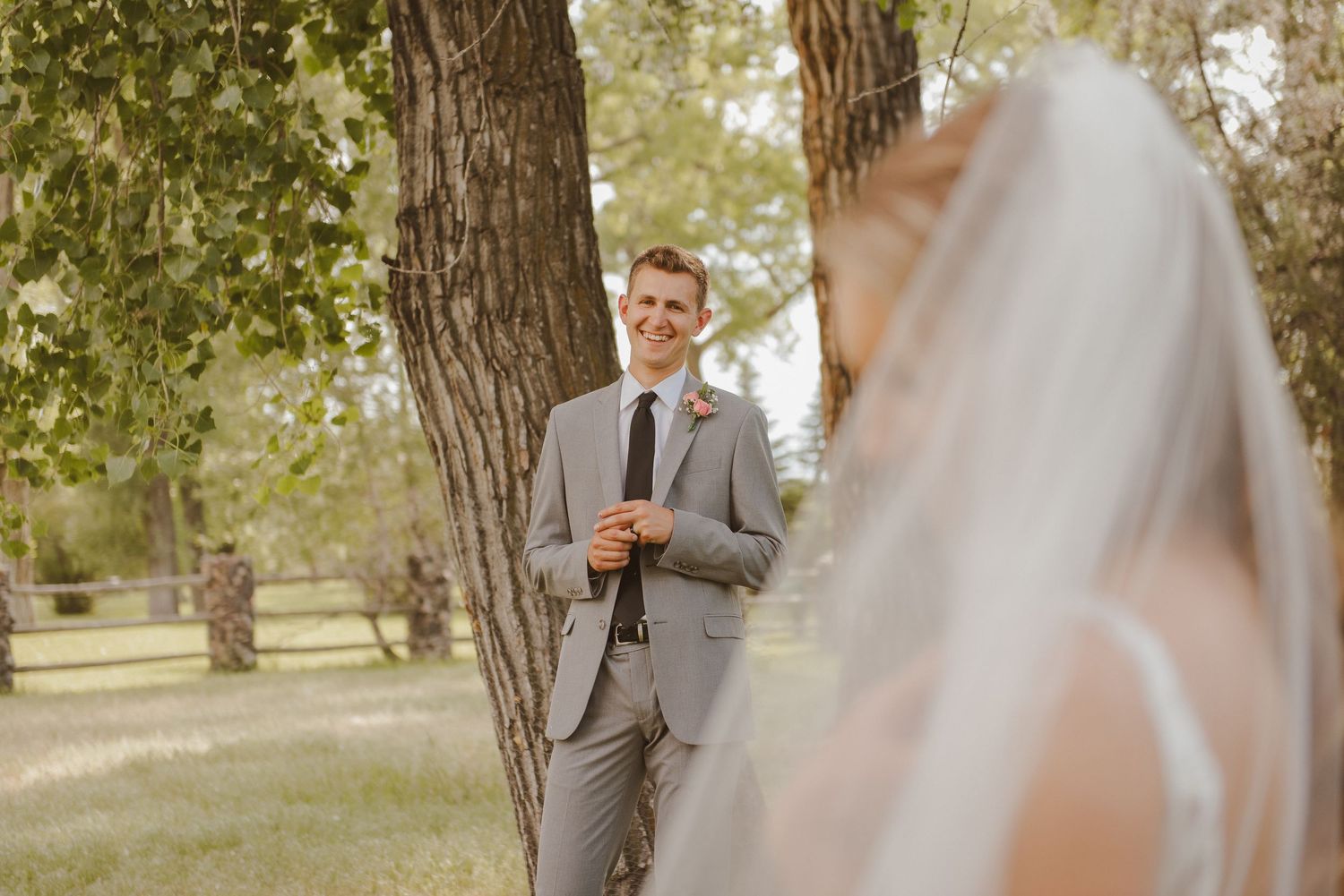 Wedding portraits in a sunlit grove with soft natural lighting filtering through the trees.
