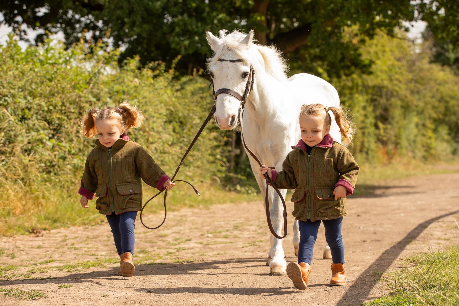 A beautiful black and white paint horse stands with a person on a sunny autumn day outdoors.