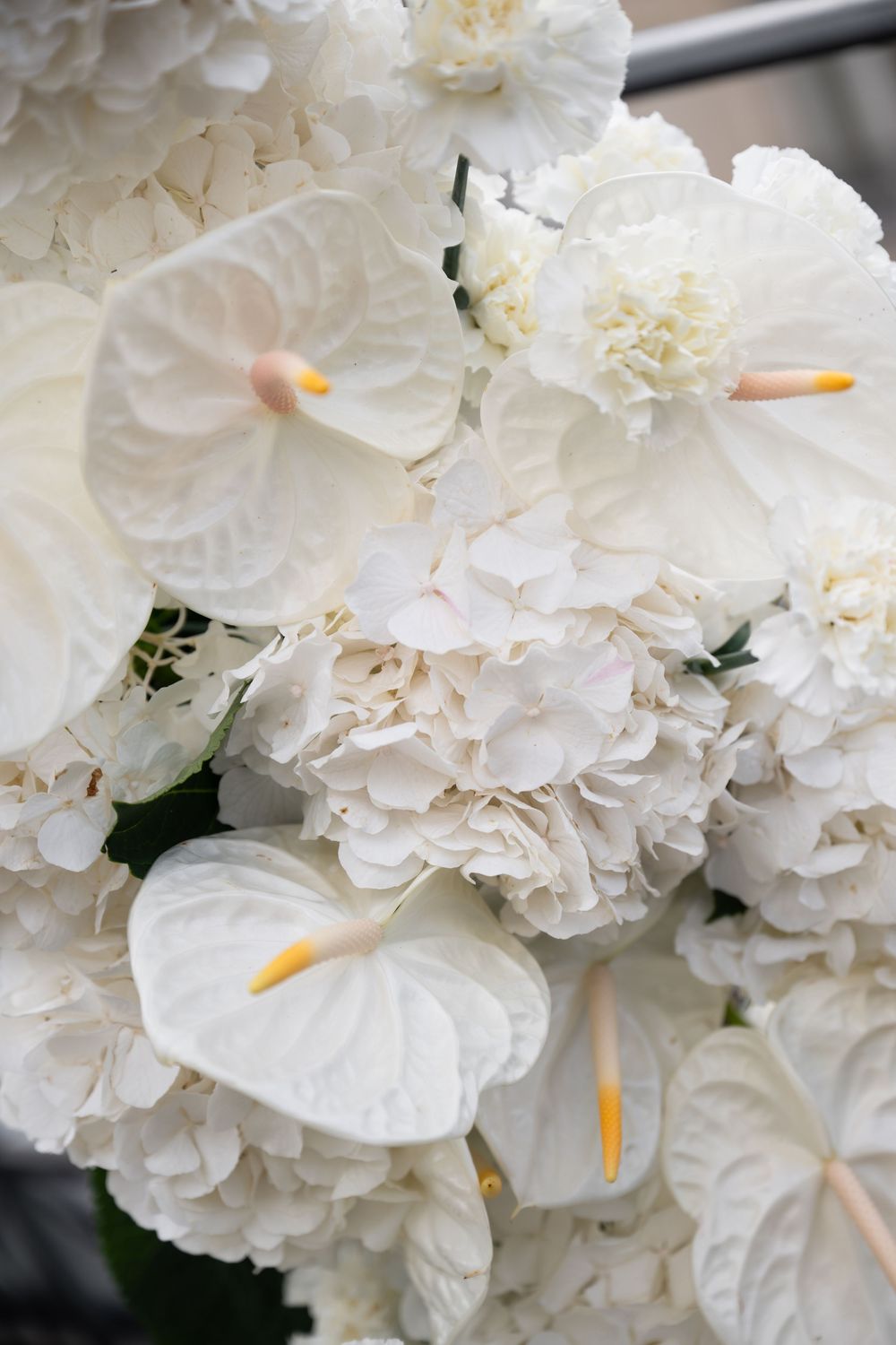 White anthuriums and carnations arranged in a lush, delicate bouquet.