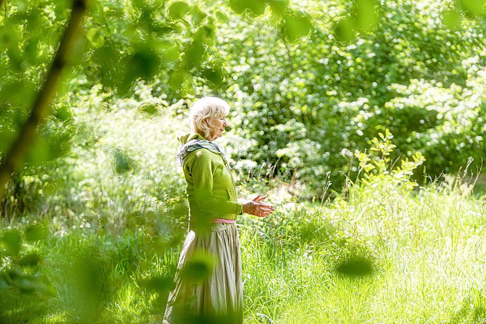 Woodland Well-being project for the Suffolk Wildlife Trust in a sunlit woodland clearing, Suffolk