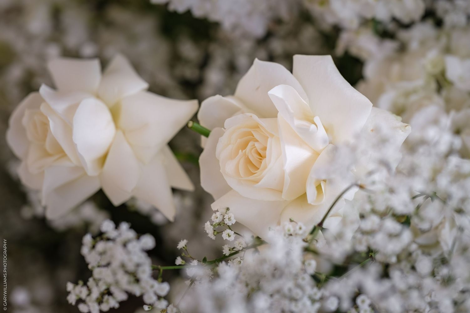 Delicate white roses and baby's breath flowers create an elegant wedding bouquet arrangement against a dark background.