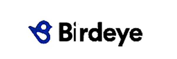 A blue bird logo design with text 'Birdeye' in dark blue against a white background.