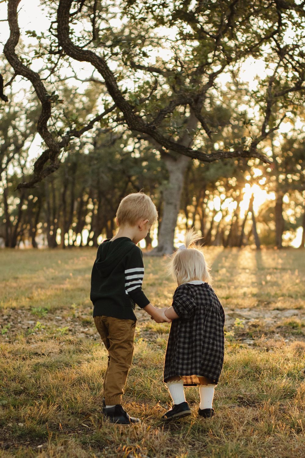 Two children holding hands while standing in a sunlit field with trees at golden hour.