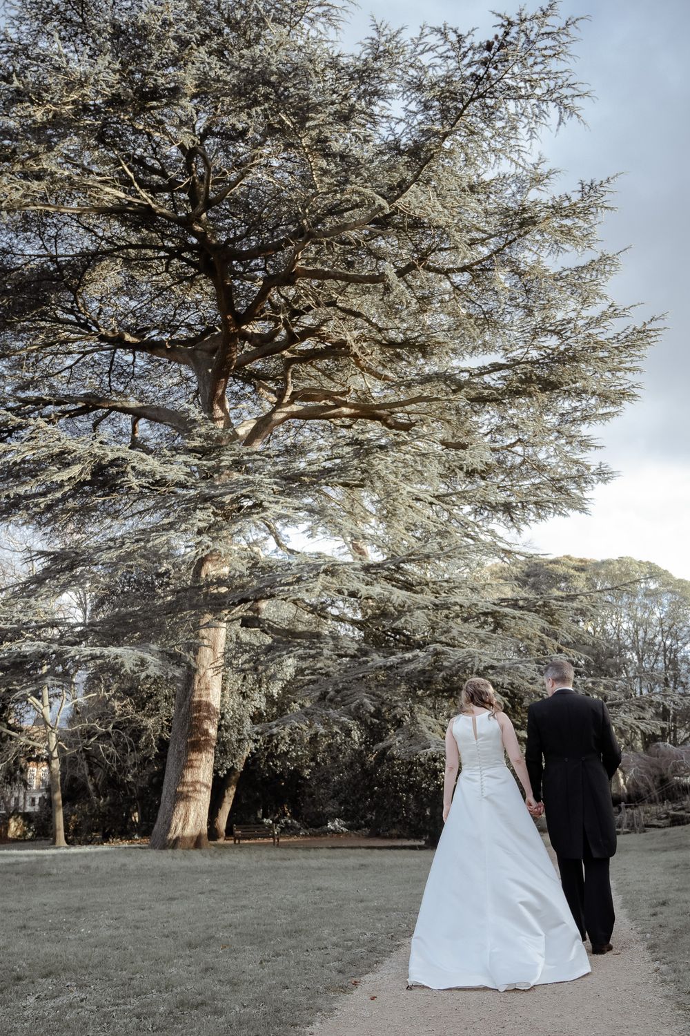 A couple in wedding attire walks away from the camera beneath a majestic old tree in a scenic outdoor setting.