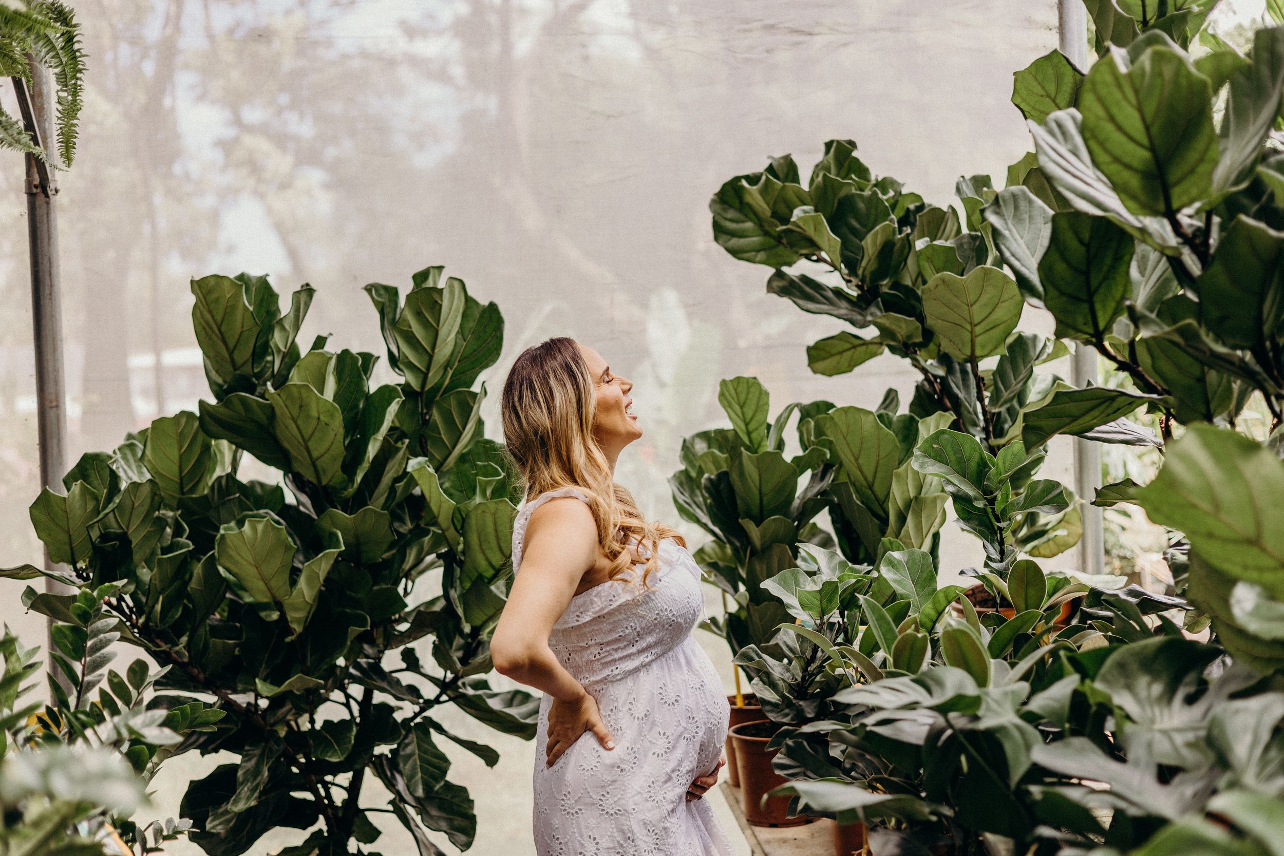 A person in a gray sweater poses among lush green fiddle leaf fig plants in a bright greenhouse setting.