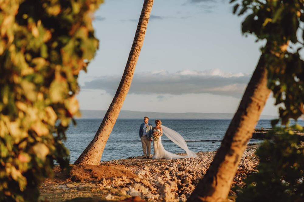 Palm trees frame oceanside wedding scene during golden hour.