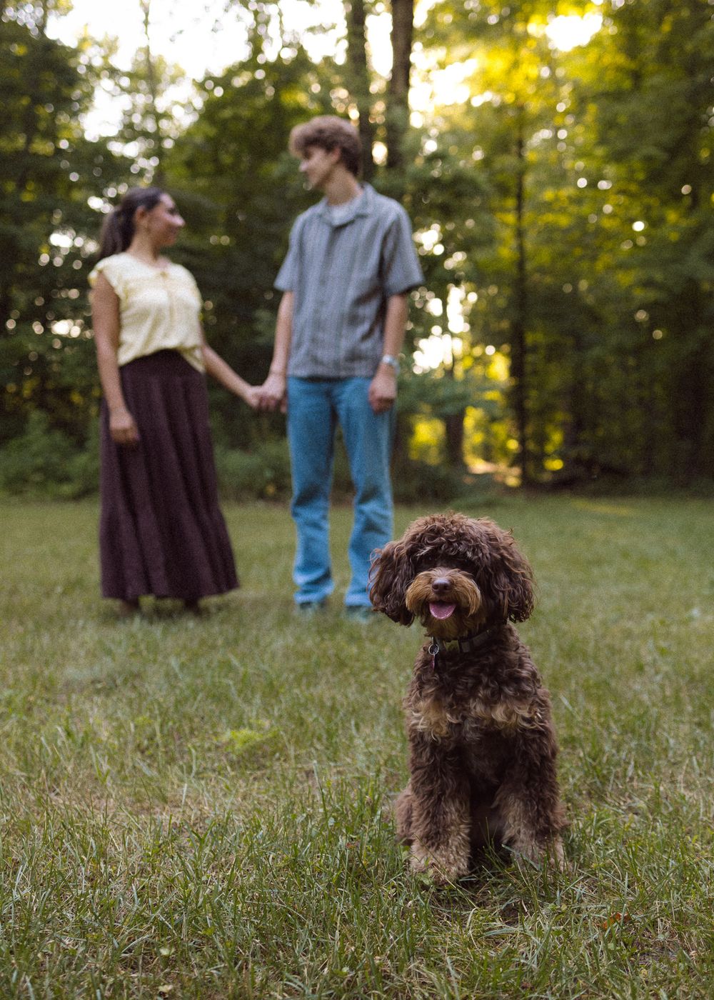 A fluffy brown doodle dog sits in grass while a couple holds hands in a blurred wooded background.