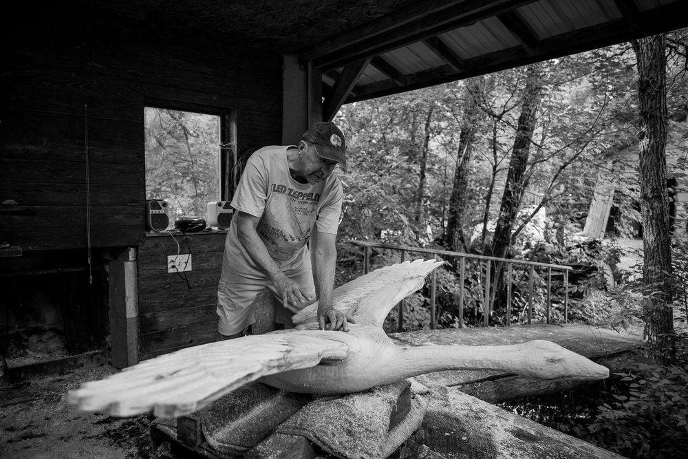 A series of black and white photos showing someone catching and handling a large shark in an outdoor setting.