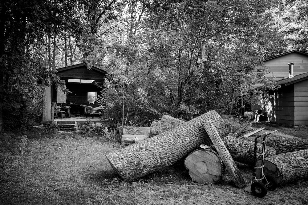 A black and white photo series showing the process of cutting down and removing a large tree in a residential yard.