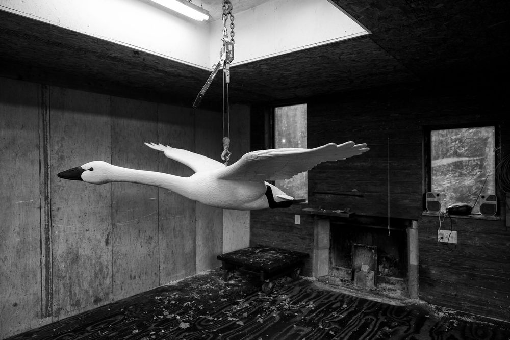 A vintage wooden model seagull hangs suspended from a chain in a dimly lit rustic interior space.