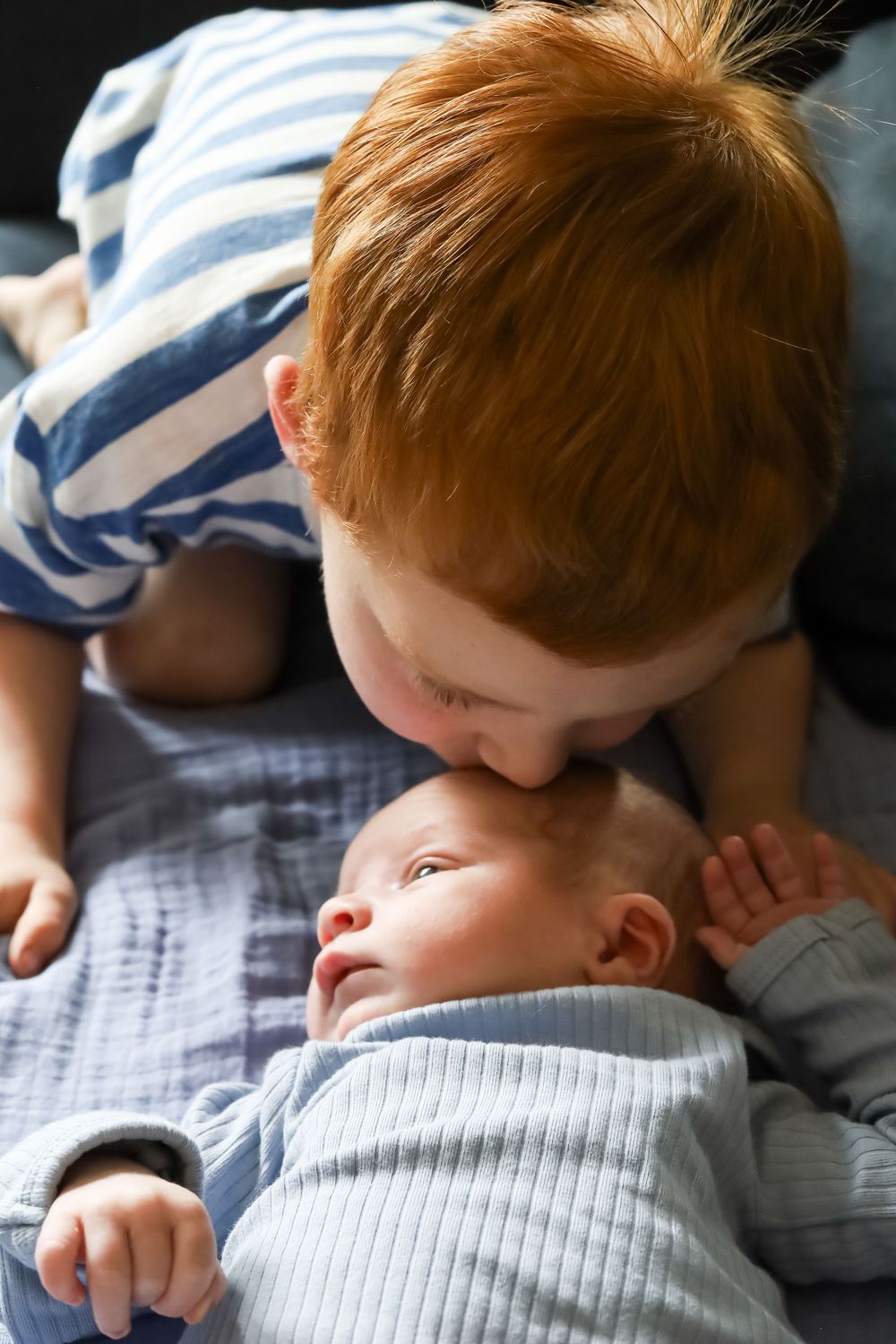 lifestyle newborn pictures near richmond mo