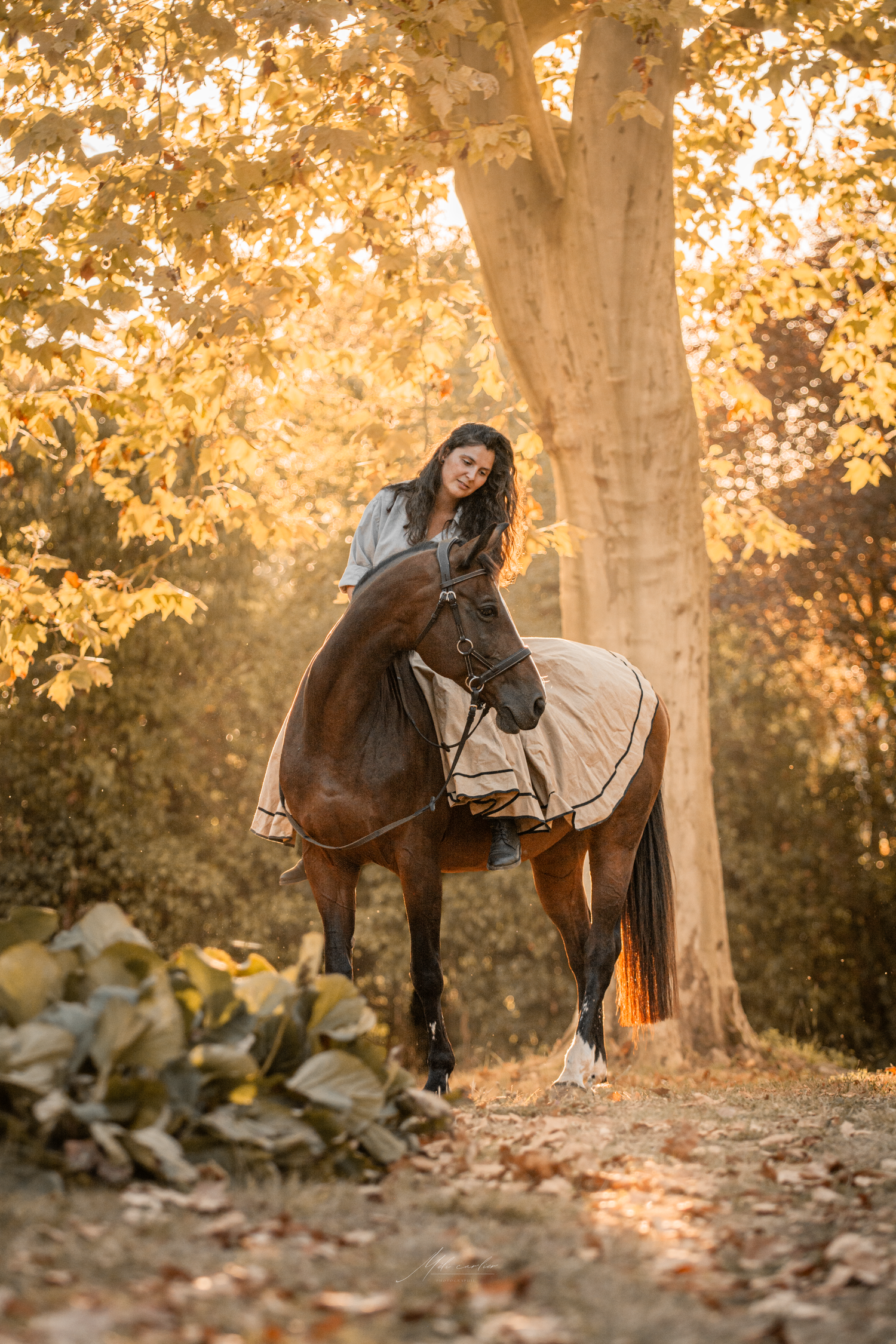 Femme cheval couché de soleil château, forêt arbre