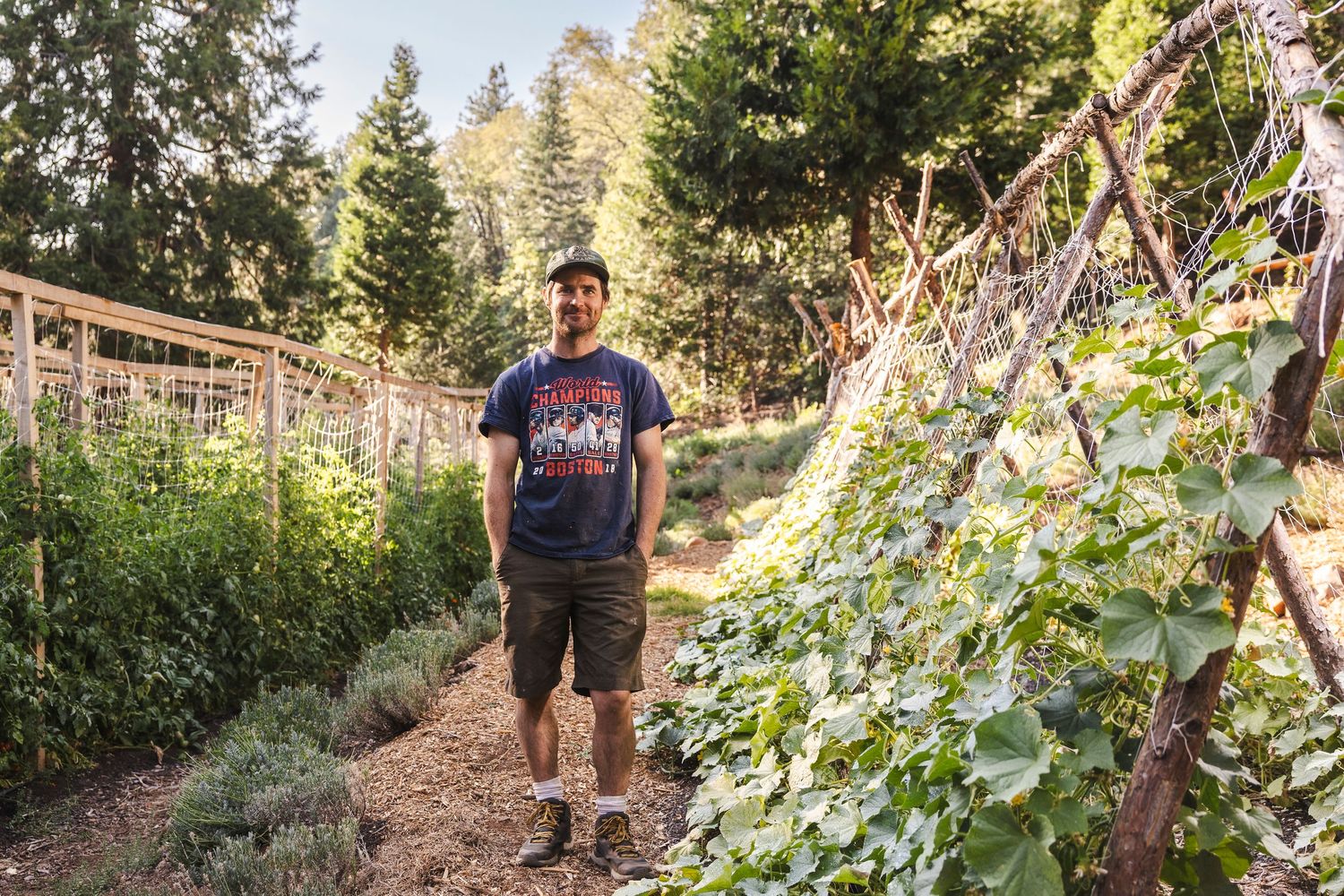 A person in a blue t-shirt stands among lush garden plants and trees on a sunny afternoon.