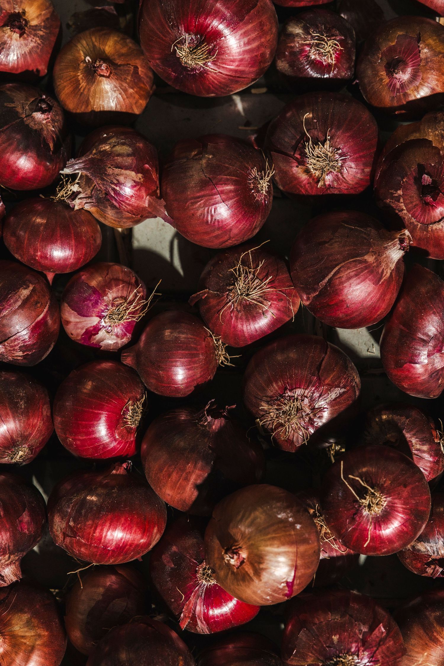 Fresh red onions arranged in a dense cluster showing their papery skins and rich burgundy color.