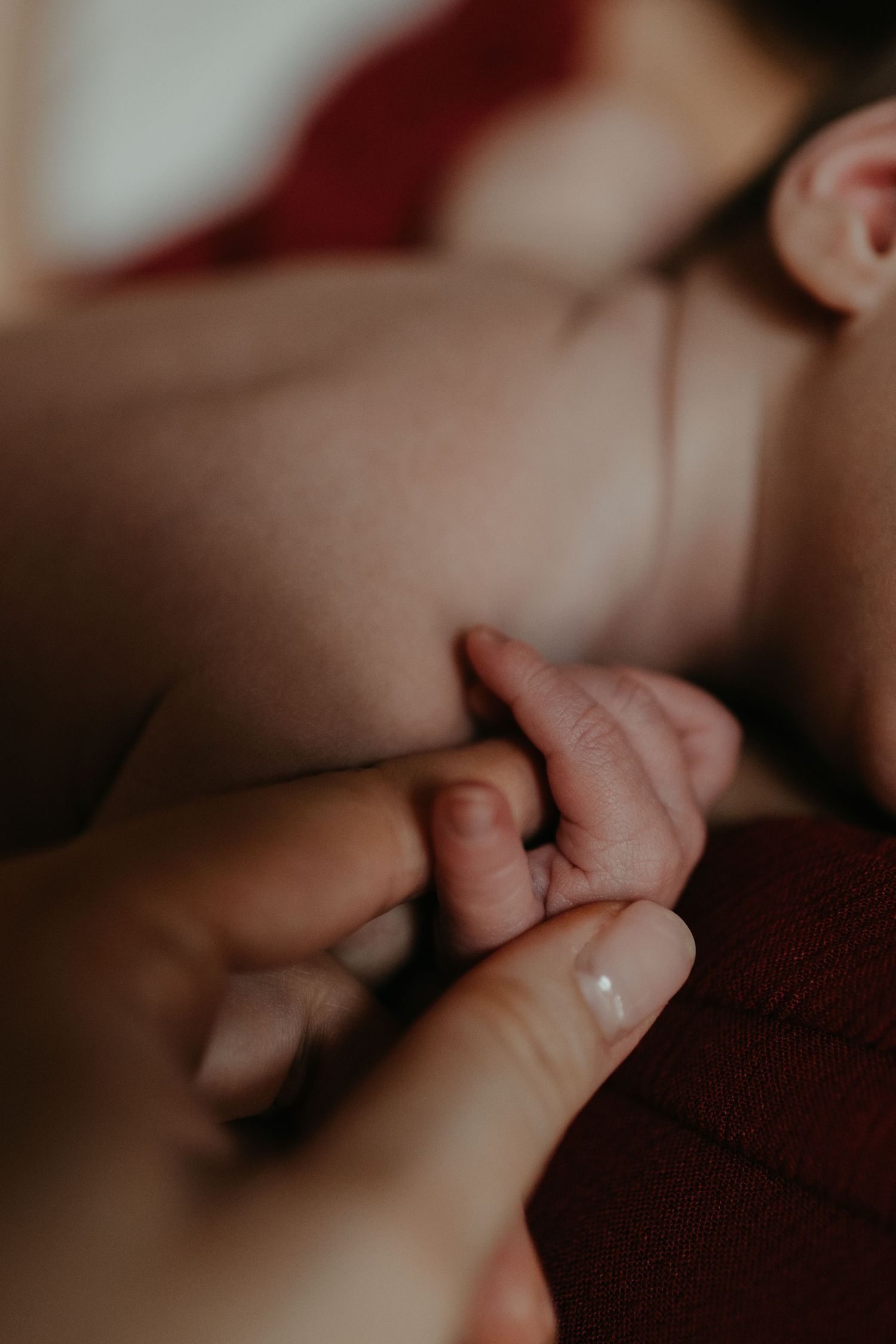a close up of a mother's hand holding her new born baby's hand