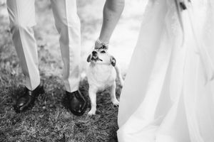 Photographie mariage Amboise