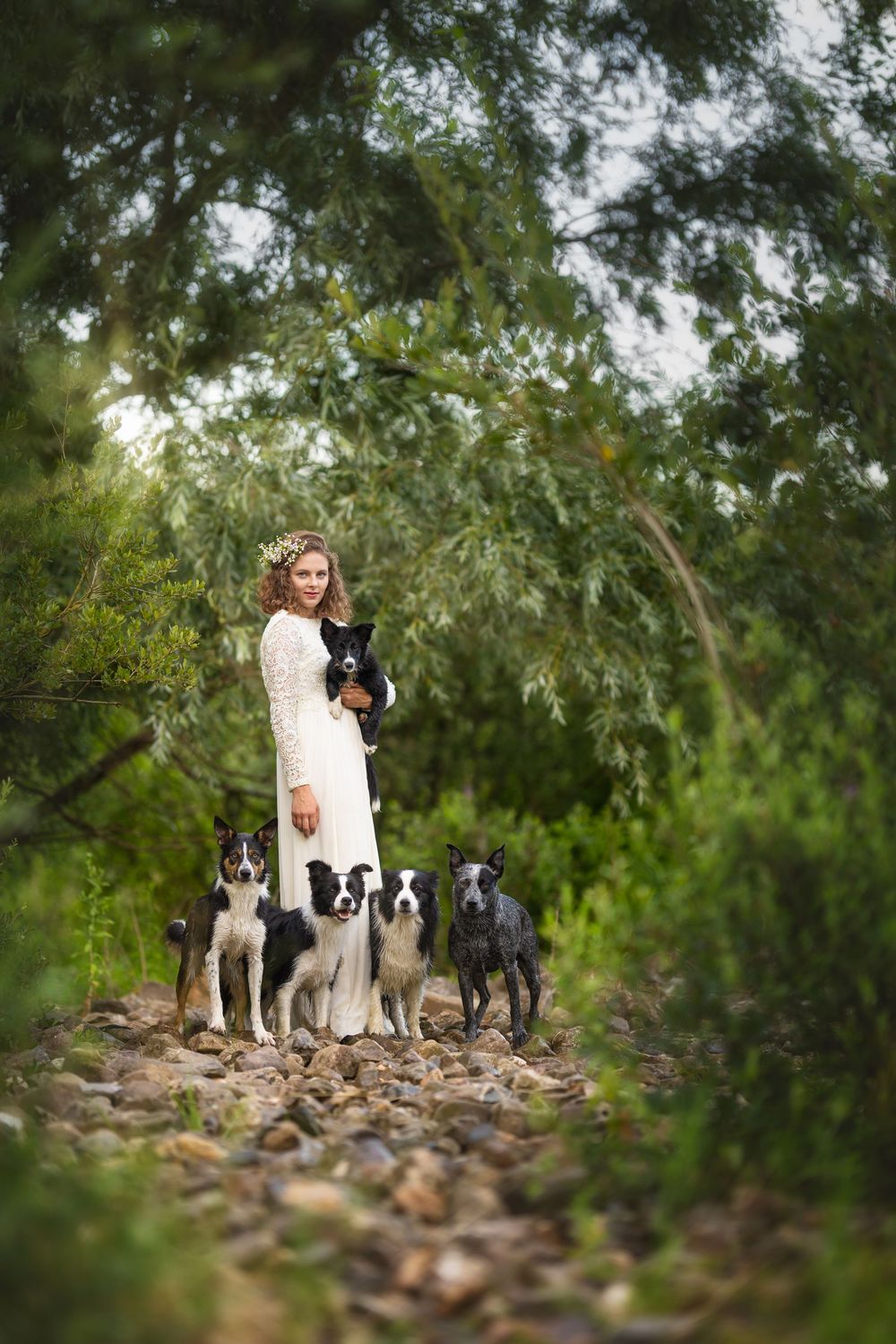 Border collies and their owner stand together on a rocky path surrounded by lush green trees and foliage.