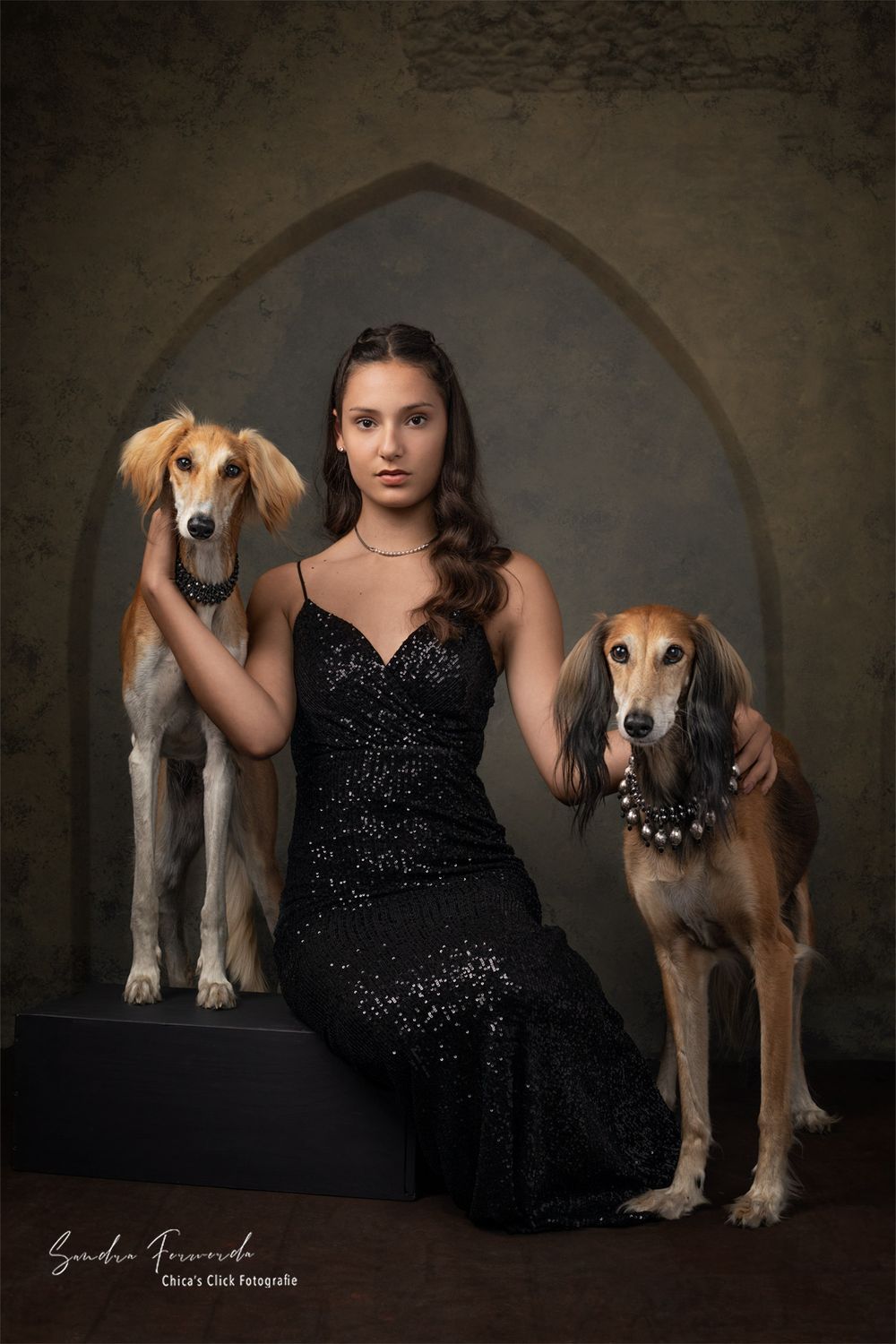 An artistic studio portrait featuring a woman in a black sequin dress posing elegantly with two salukis