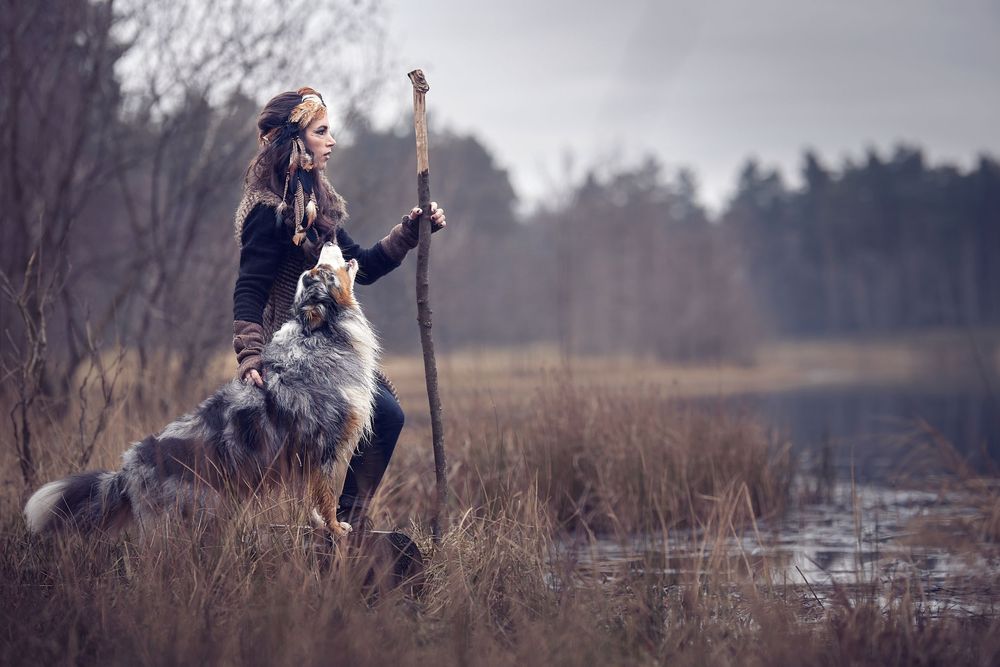 A person and an Australian Shepherd dog play together in a misty field at dusk with tall grass and trees in the background.