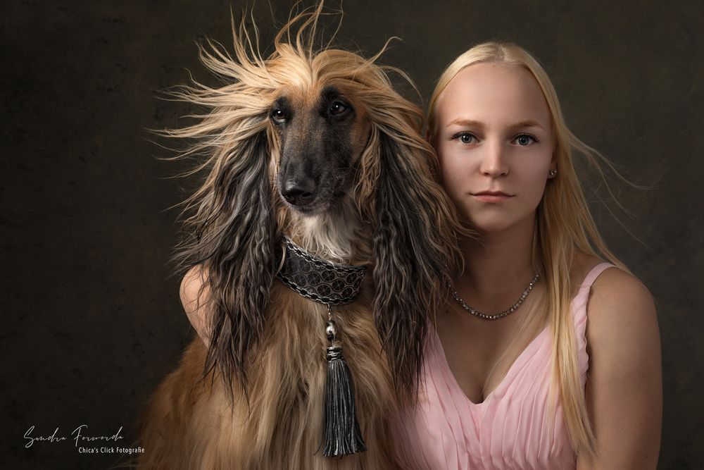 An Afghan dog poses elegantly against a dark background in a dramatic portrait series.