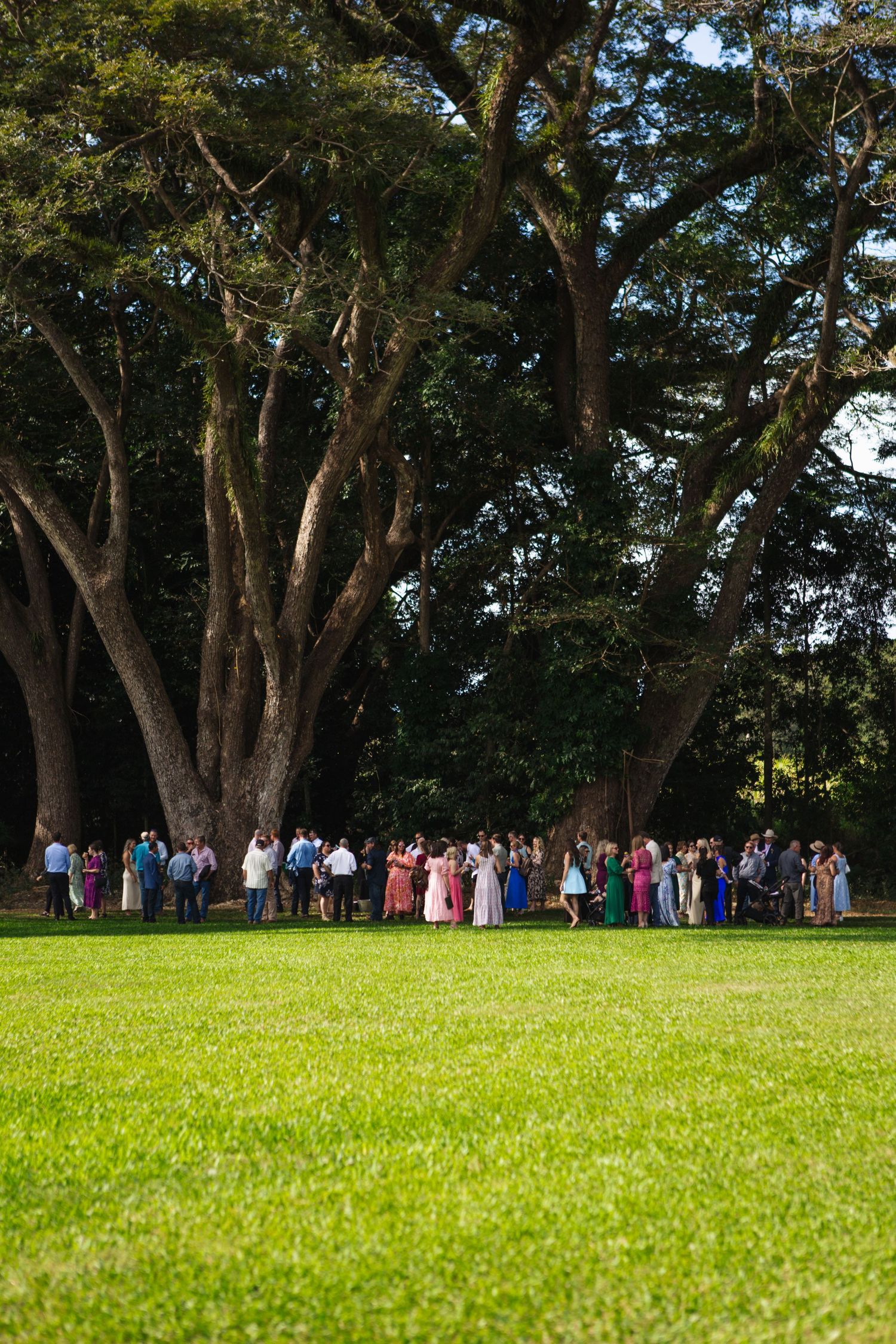 Ceremony at country Port Douglas Wedding
