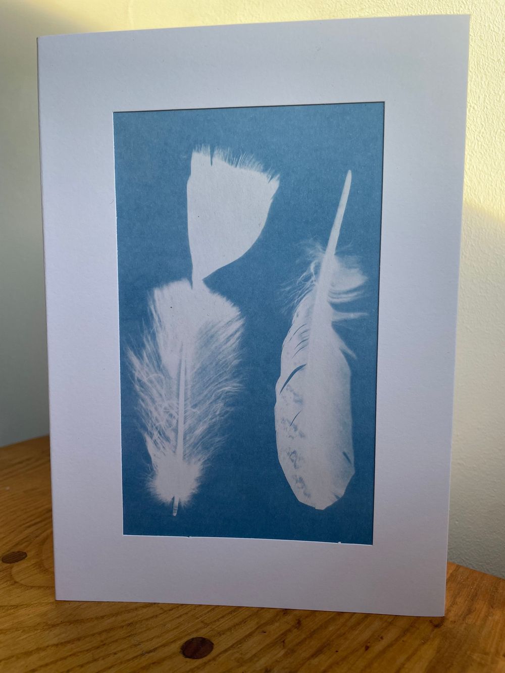 A series of cyanotype prints showing white feather silhouettes against deep blue backgrounds arranged on a wooden surface.