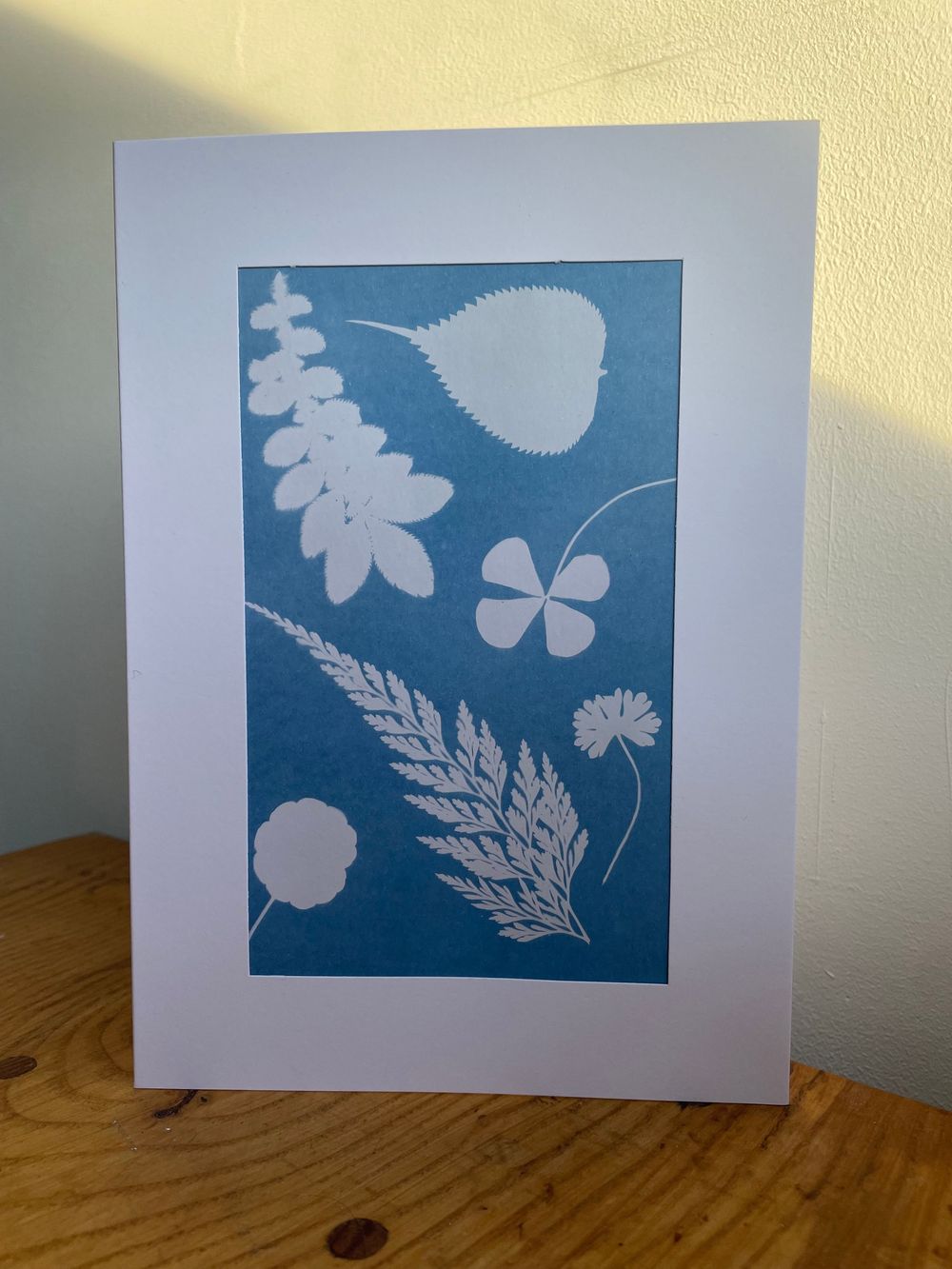 A cyanotype print featuring white silhouettes of botanical elements including ferns, flowers and leaves against a blue background.