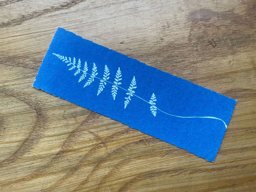 A sequence showing a blue painter's tape being progressively peeled away from a wooden surface to reveal a fern pattern.
