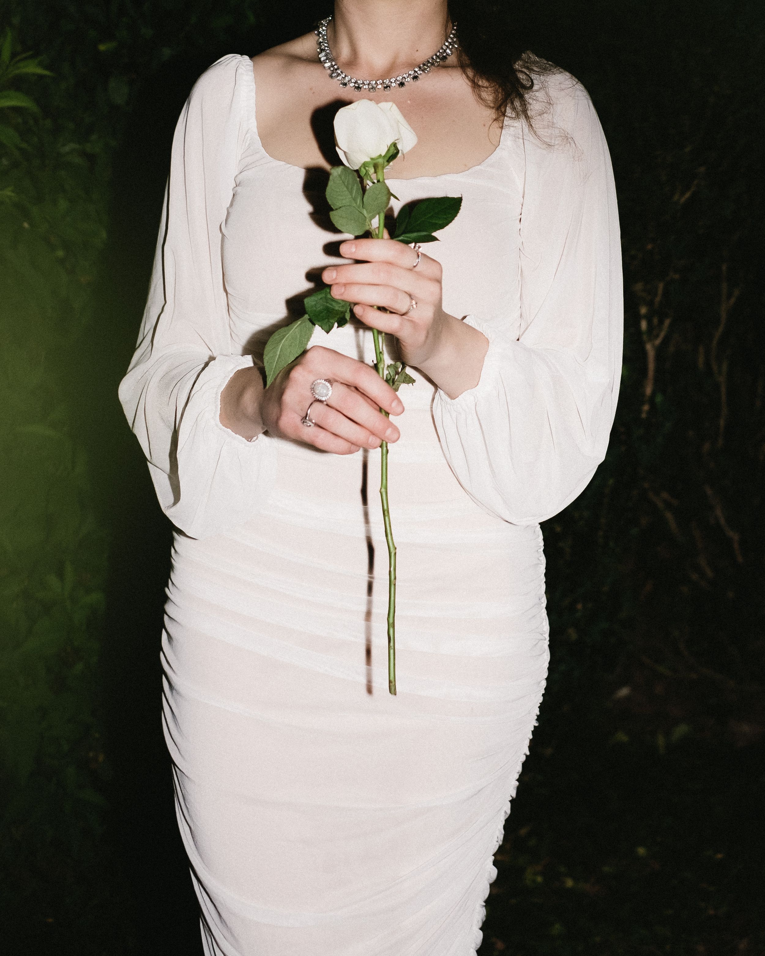 Person in white dress holding a single white rose against a dark background.
