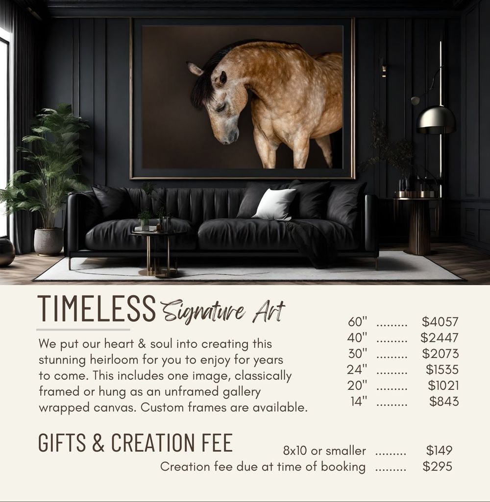 Timeless signature art pricing guide featuring large canvas horse portrait display.