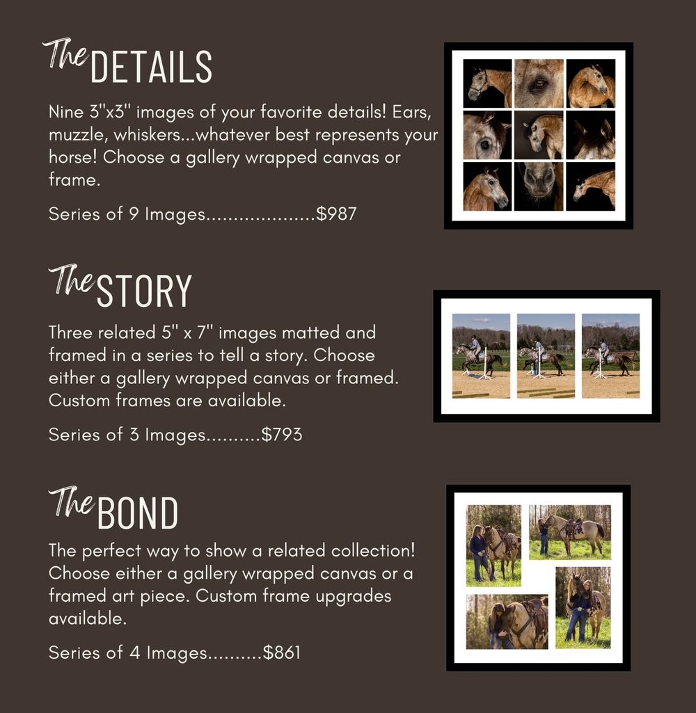 Horse photography package options including details, story, and bond collections.