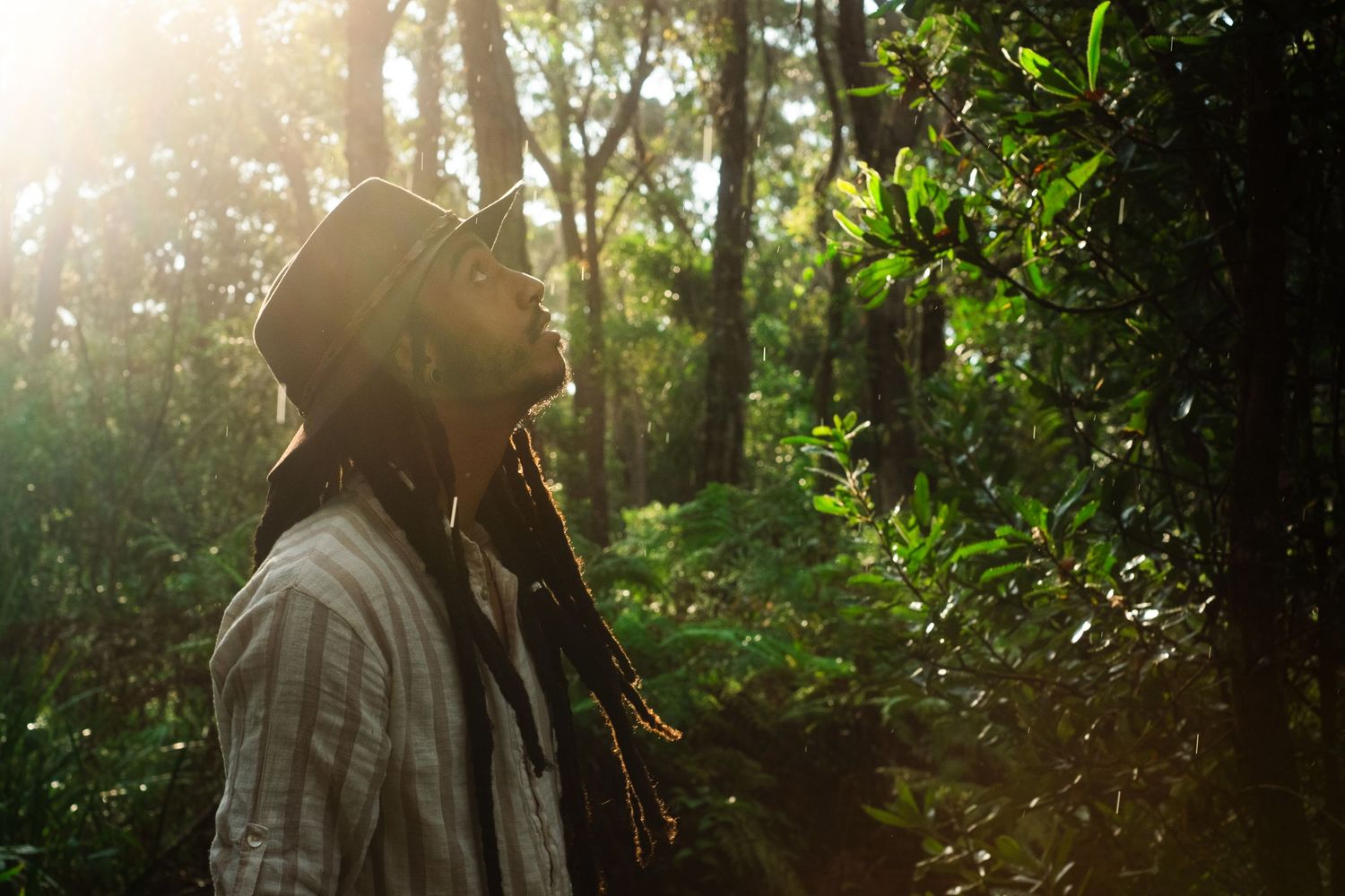 Silhouettes of people in a sunlit forest with golden light filtering through trees.