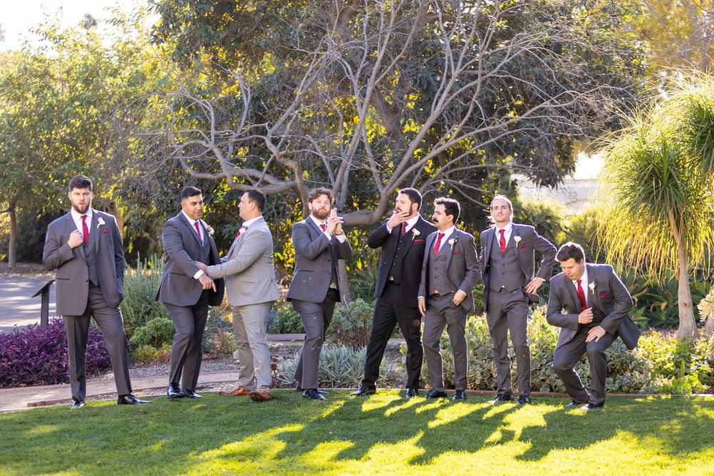 Groomsmen in gray suits and red ties pose playfully on a sunny garden lawn.