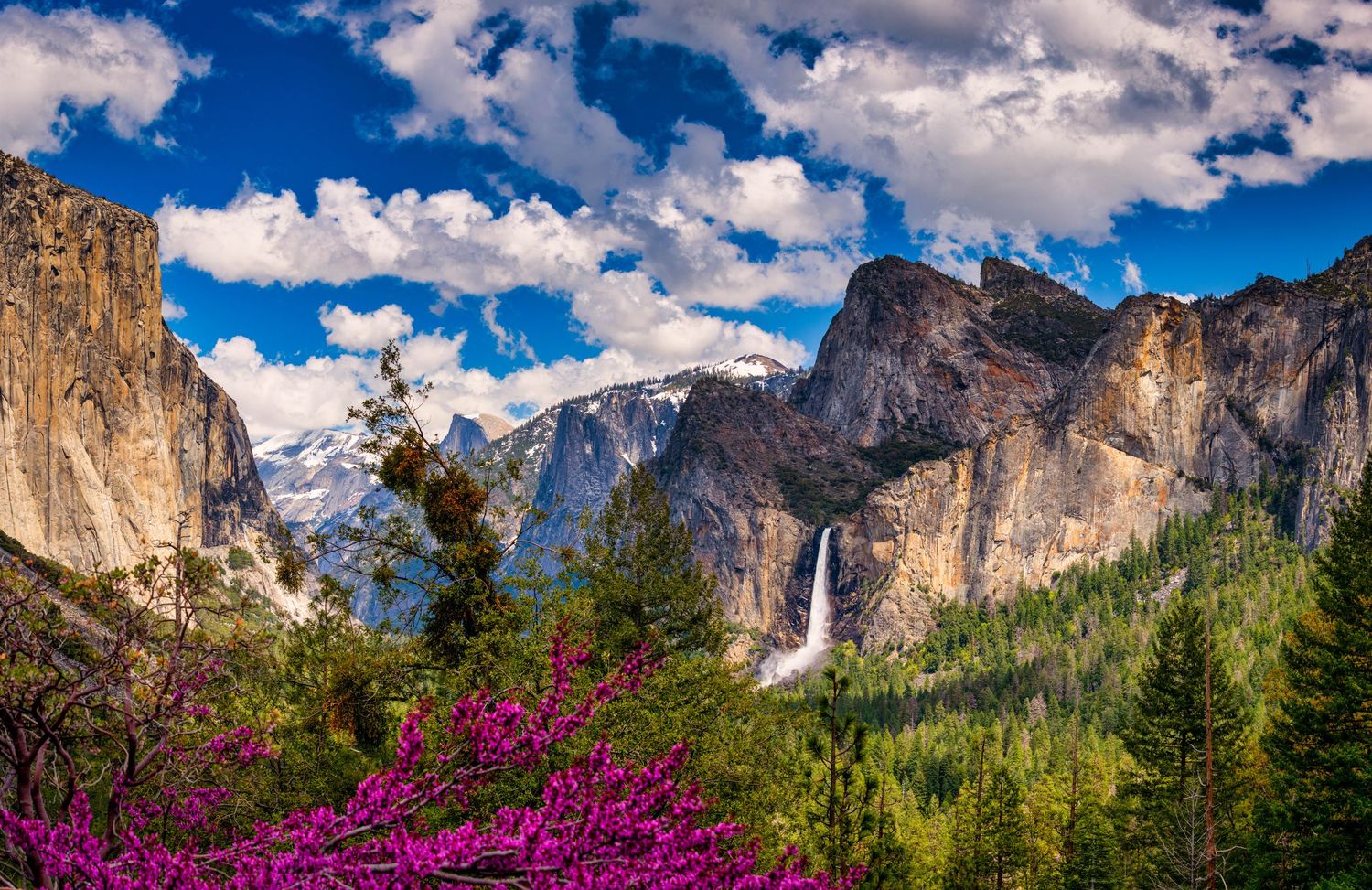 Bridalveil Falls cascades down Yosemite Valley's granite cliffs with pink wildflowers blooming in the foreground.