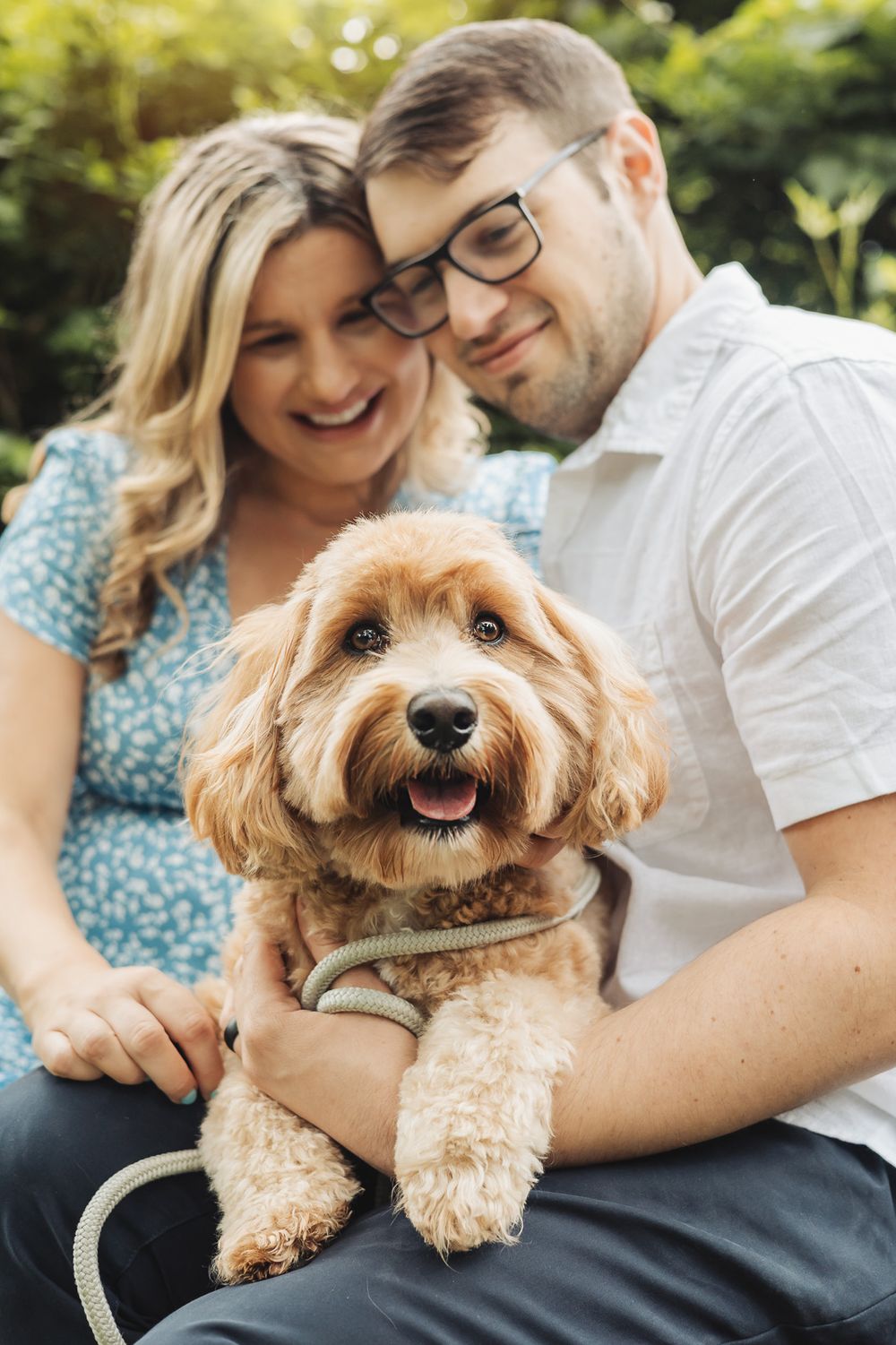A happy goldendoodle dog sits with its owners in a sunny outdoor setting during a photo session.