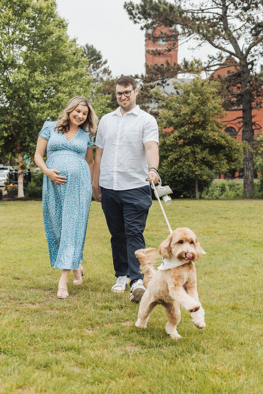 Couple in blue dress and white shirt walking with their fluffy goldendoodle dog on green grass near brick building.
