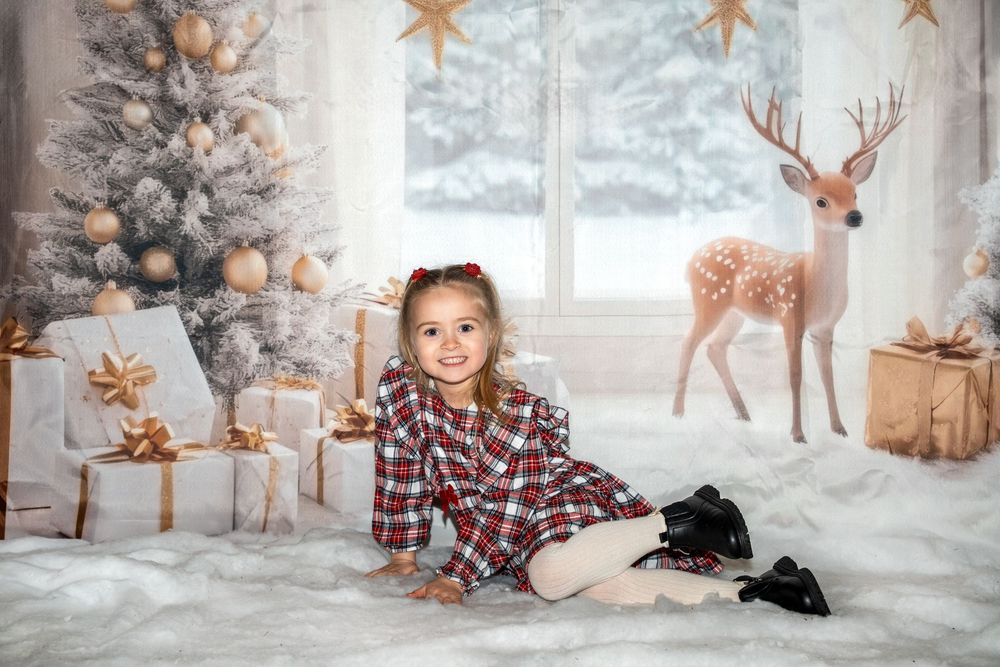 A festive Christmas photo collage featuring winter scenes with reindeer decorations and plaid holiday decor in a snowy setting.