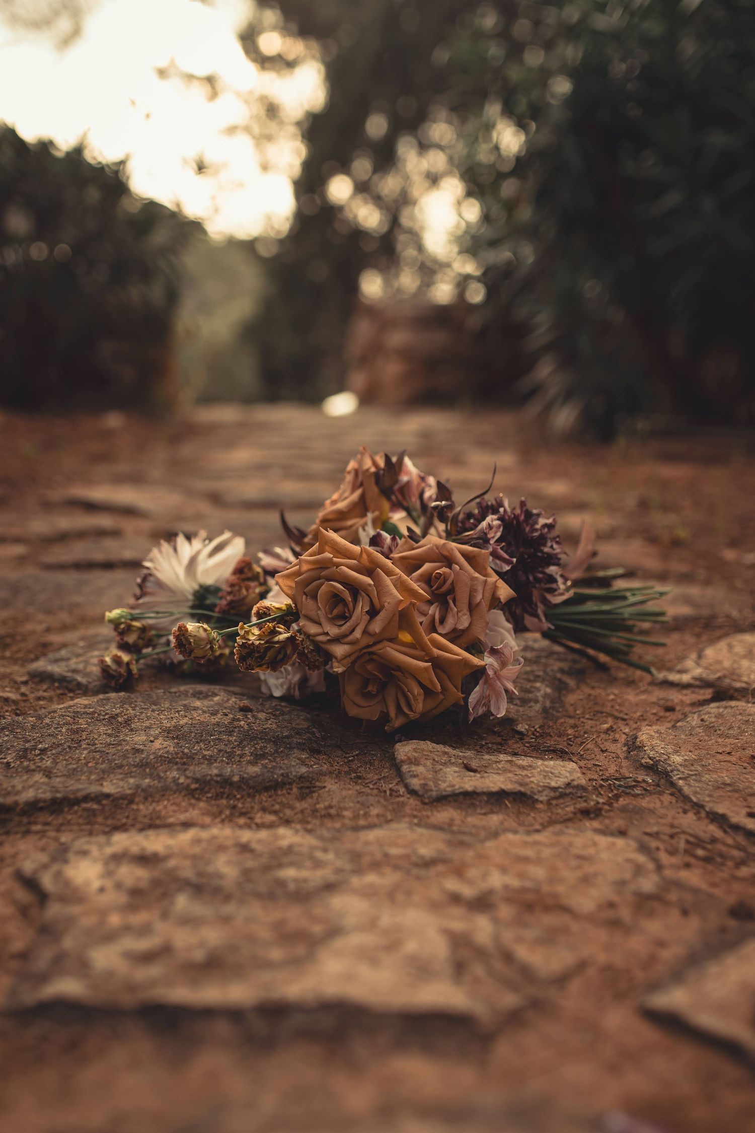 A sequence of dried brown roses lying on dirt ground at different angles shows decay and passage of time.