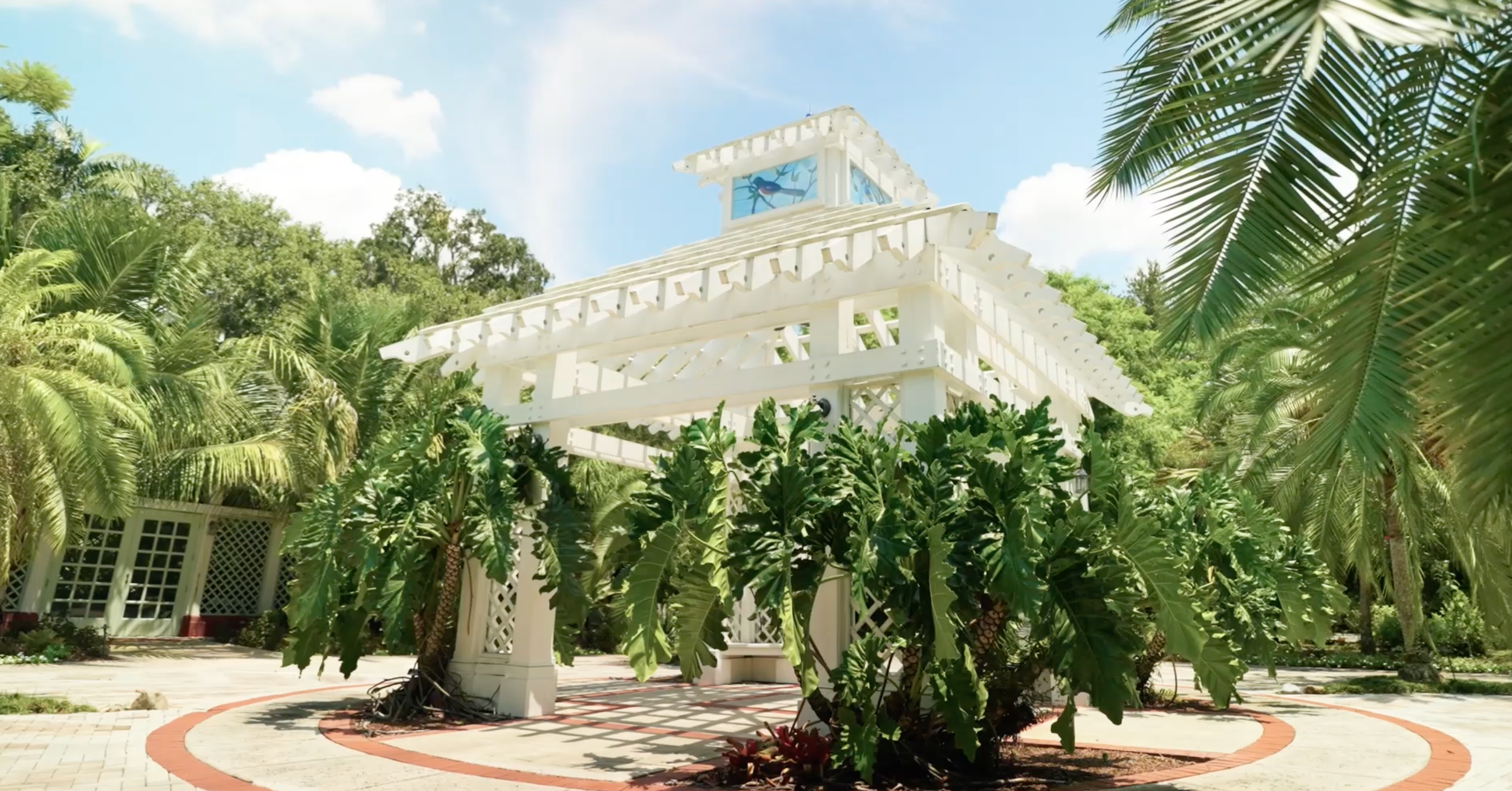 A panoramic view of palm trees lining a curved walkway in a tropical garden setting.