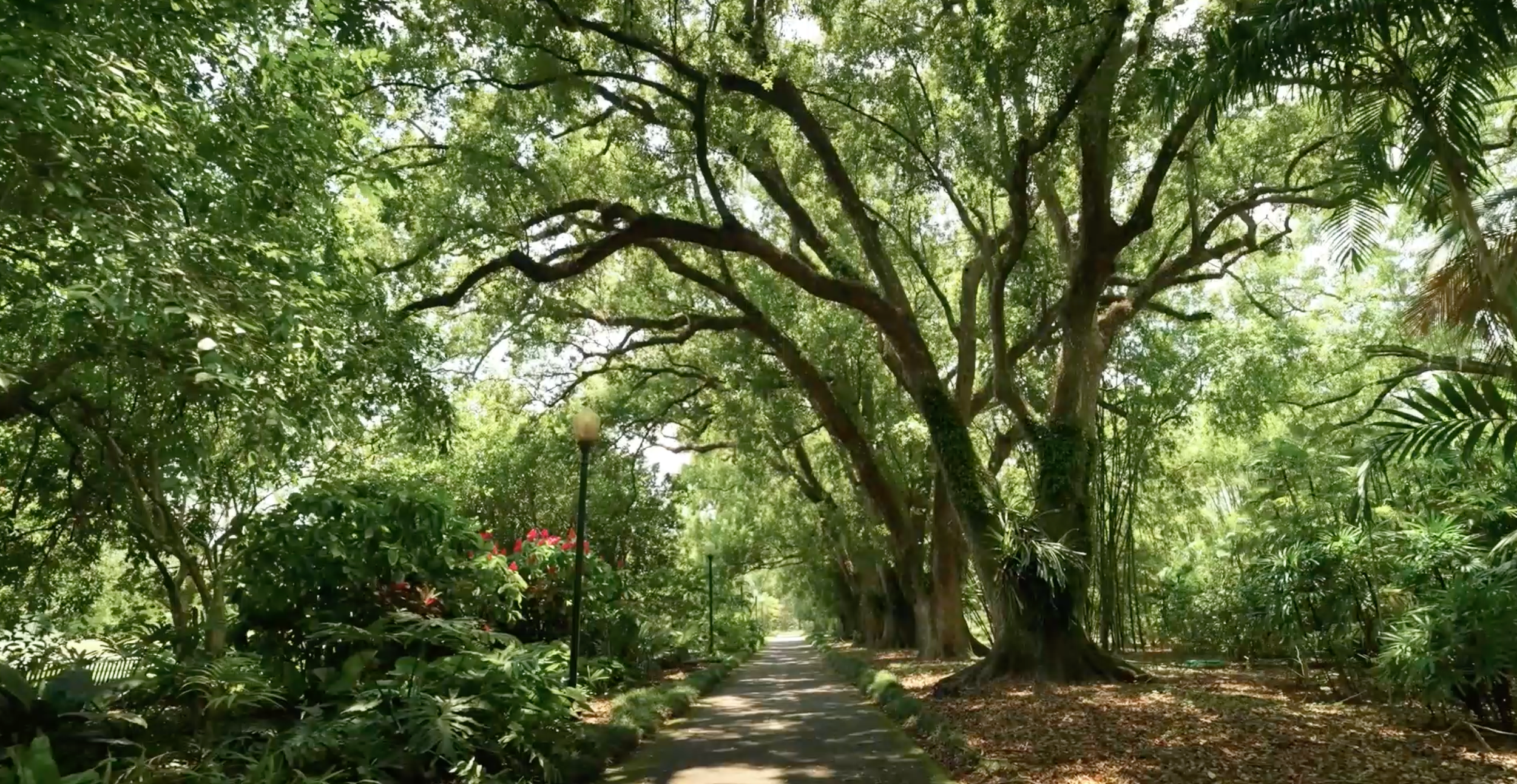 Winding garden path through lush green trees and foliage in a tranquil park setting.