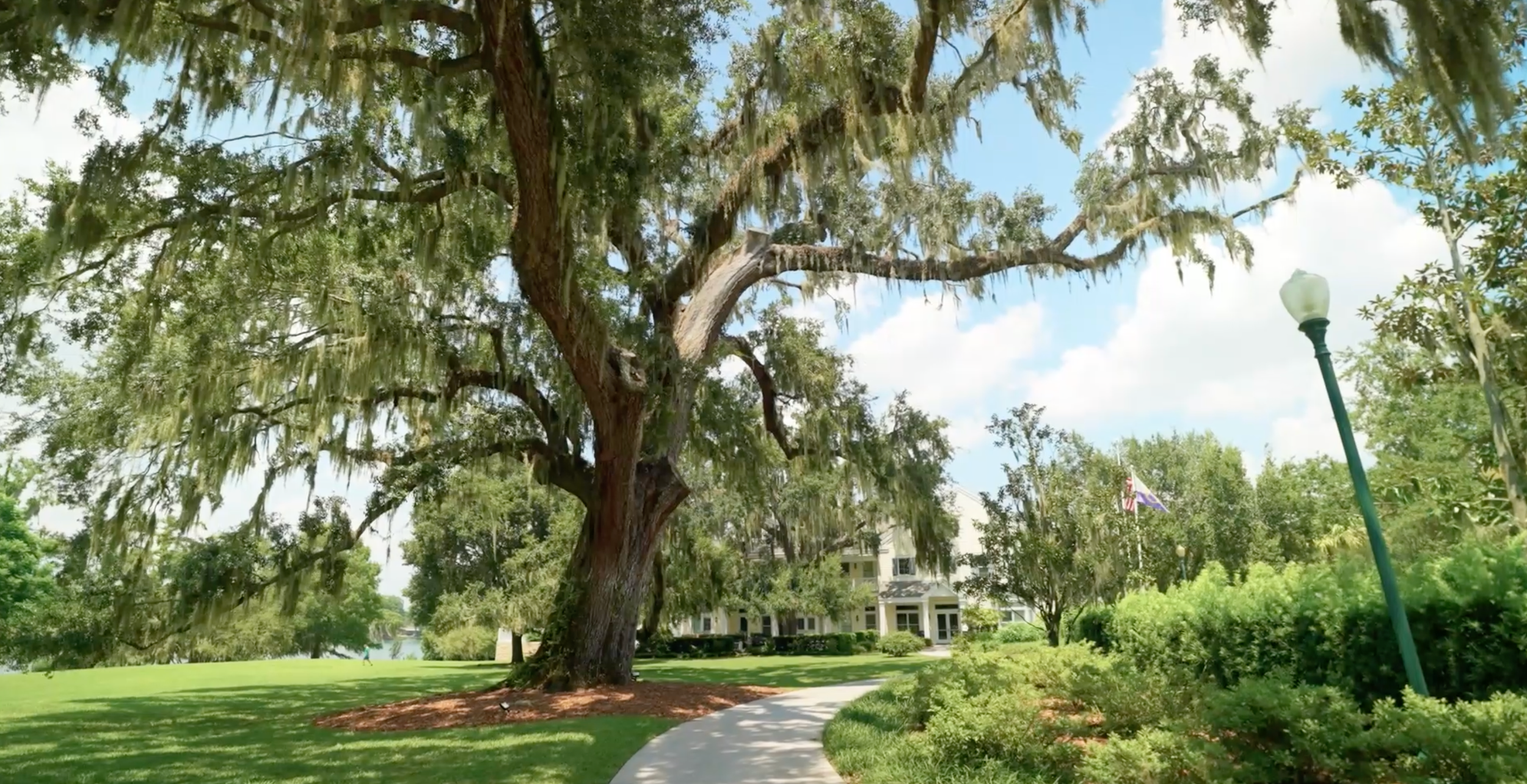 A winding pathway lined with moss-draped oak trees leads through a serene southern garden landscape.