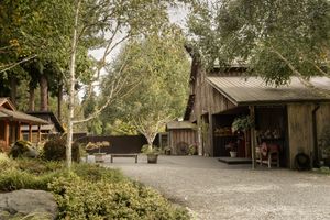 Rustic outdoor wedding venue with wooden buildings and gravel paths surrounded by trees.