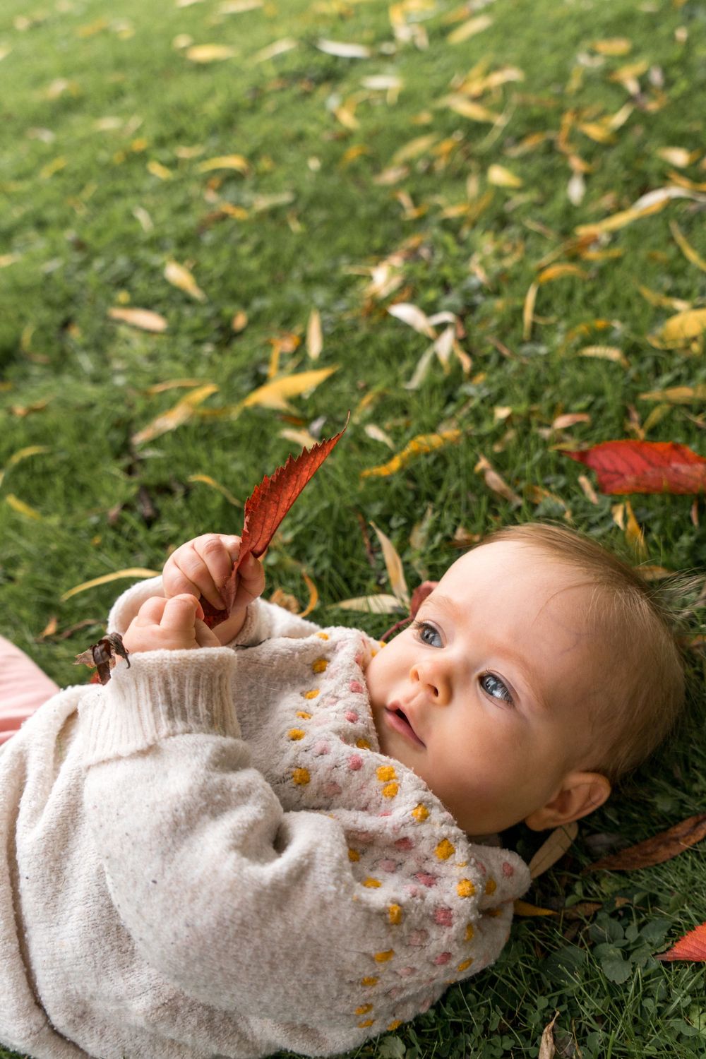 Séance photo bébé en pleine nature. Bébé jouant avec feuilles. Lumière naturelle et authenticité près de Bruxelles et Waterloo.