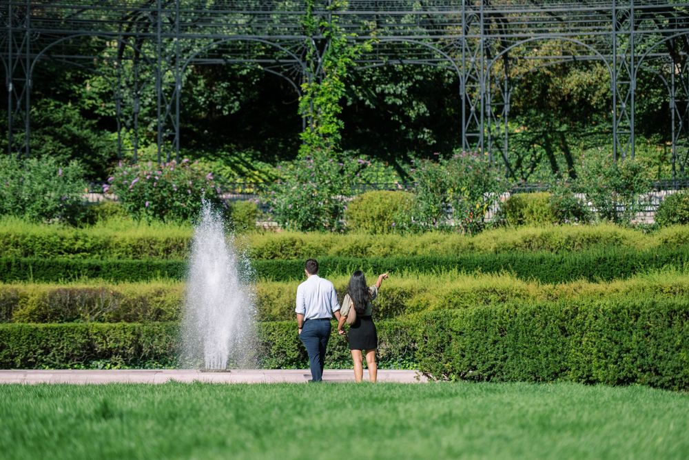 Long-distance view of a fountain in a lush garden landscape with greenery.