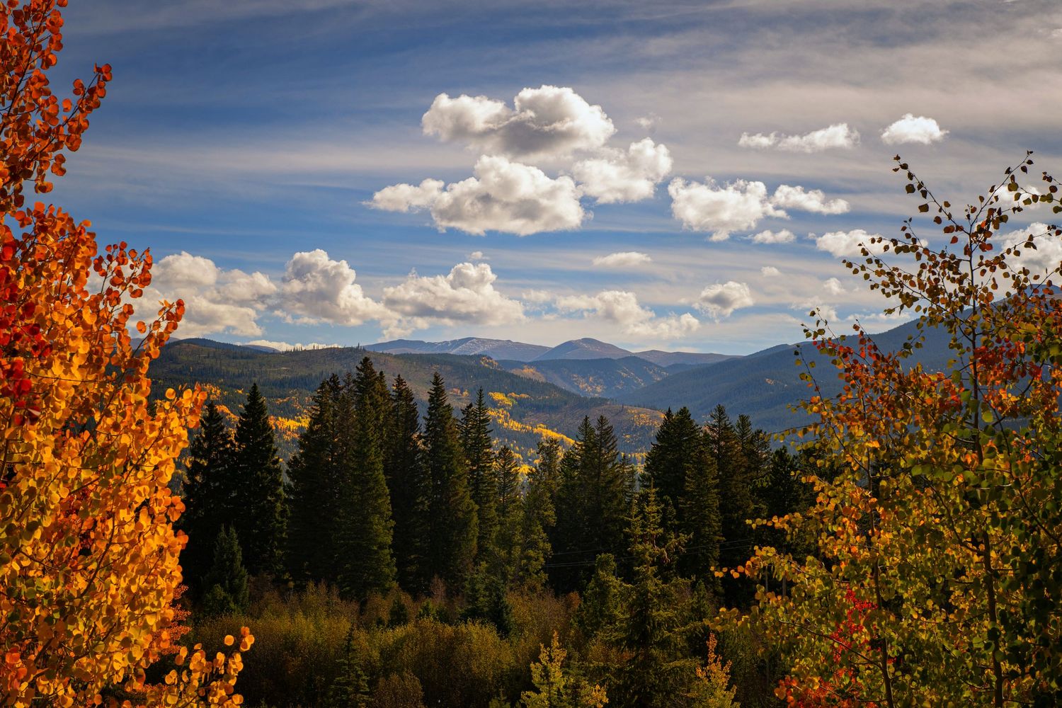 Colorado trees with vibrant orange foliage frame a scenic mountain landscape under a dramatic cloudy sky.