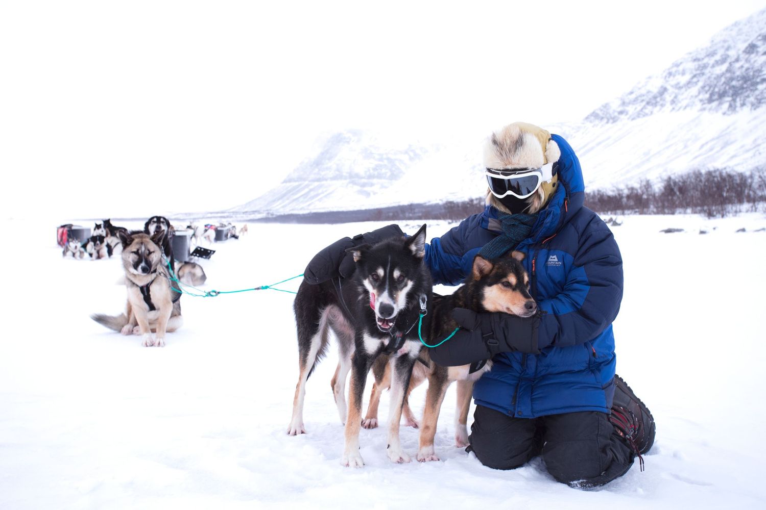 Adventure photography: dogsledding in Øvre-Dividal National Park, Norway. Photo by Dayle Prowse.