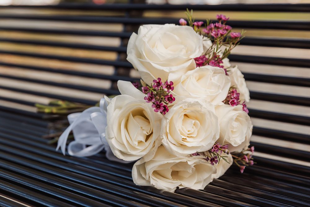 A series of elegant white roses with pink accents arranged against a striped background.