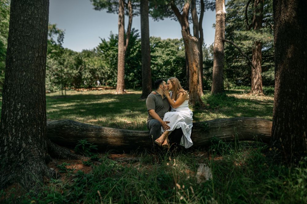 Two people enjoy a romantic moment together while sitting on wooden swings hanging from tall trees in a forest.