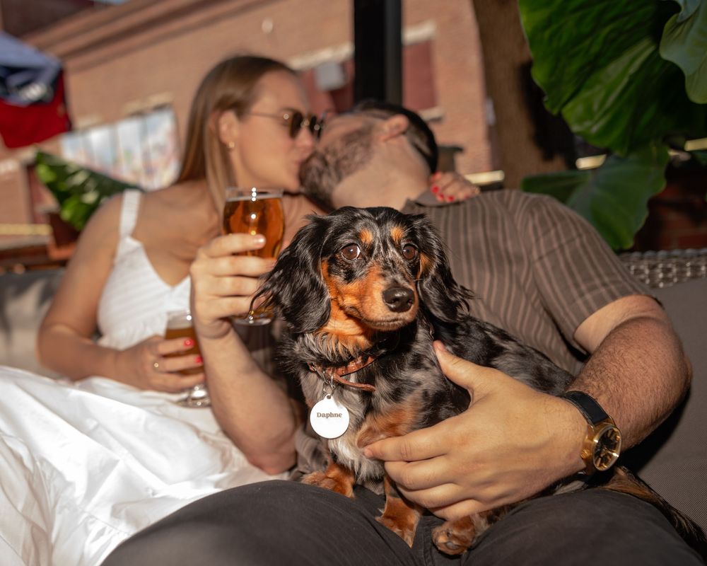 A dog and person share a tender moment with a kiss while sitting together indoors.