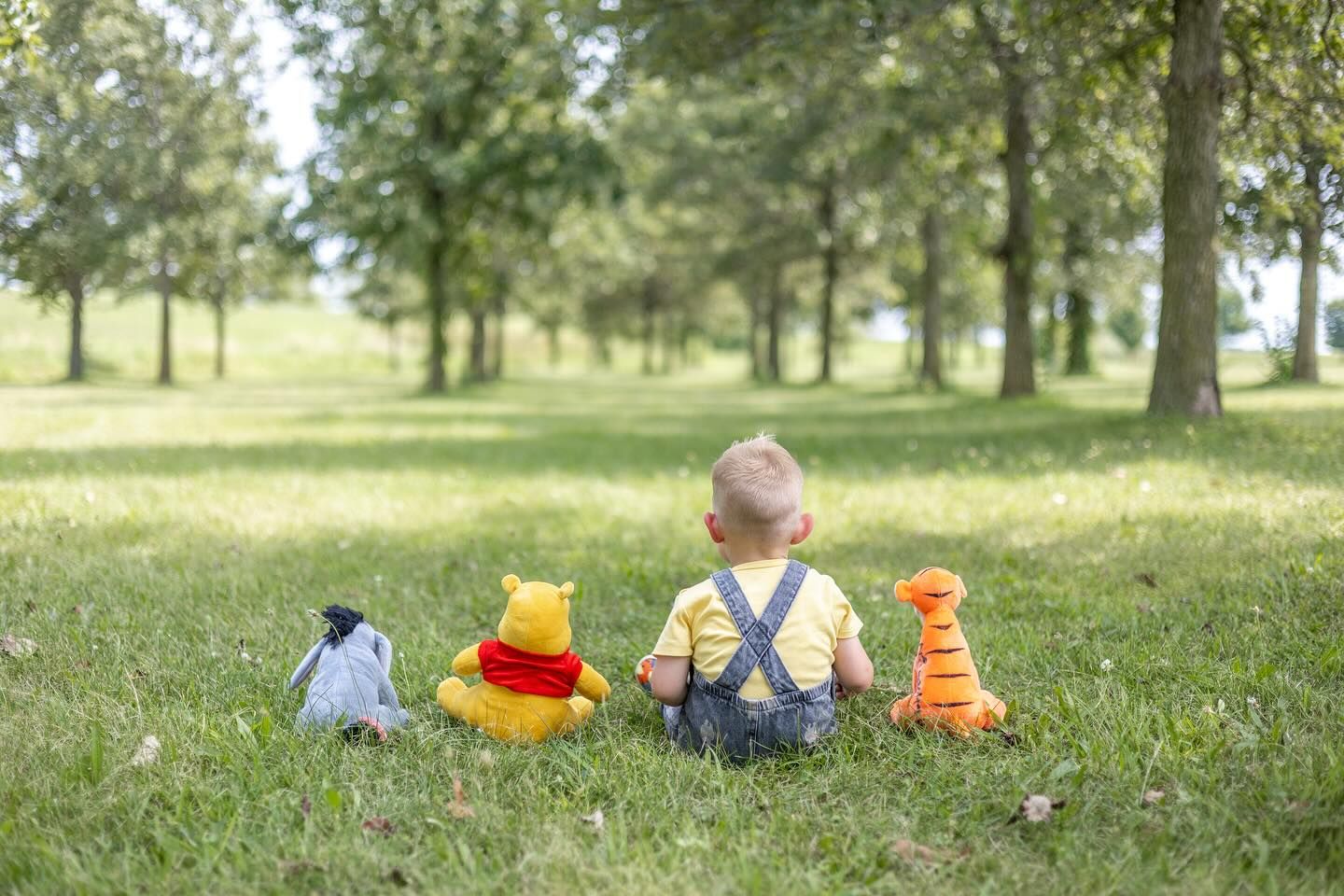 Springfield, IL Photographer captures a young boy sitting amongst his stuffed animals in the middles of several trees at Centennial Park